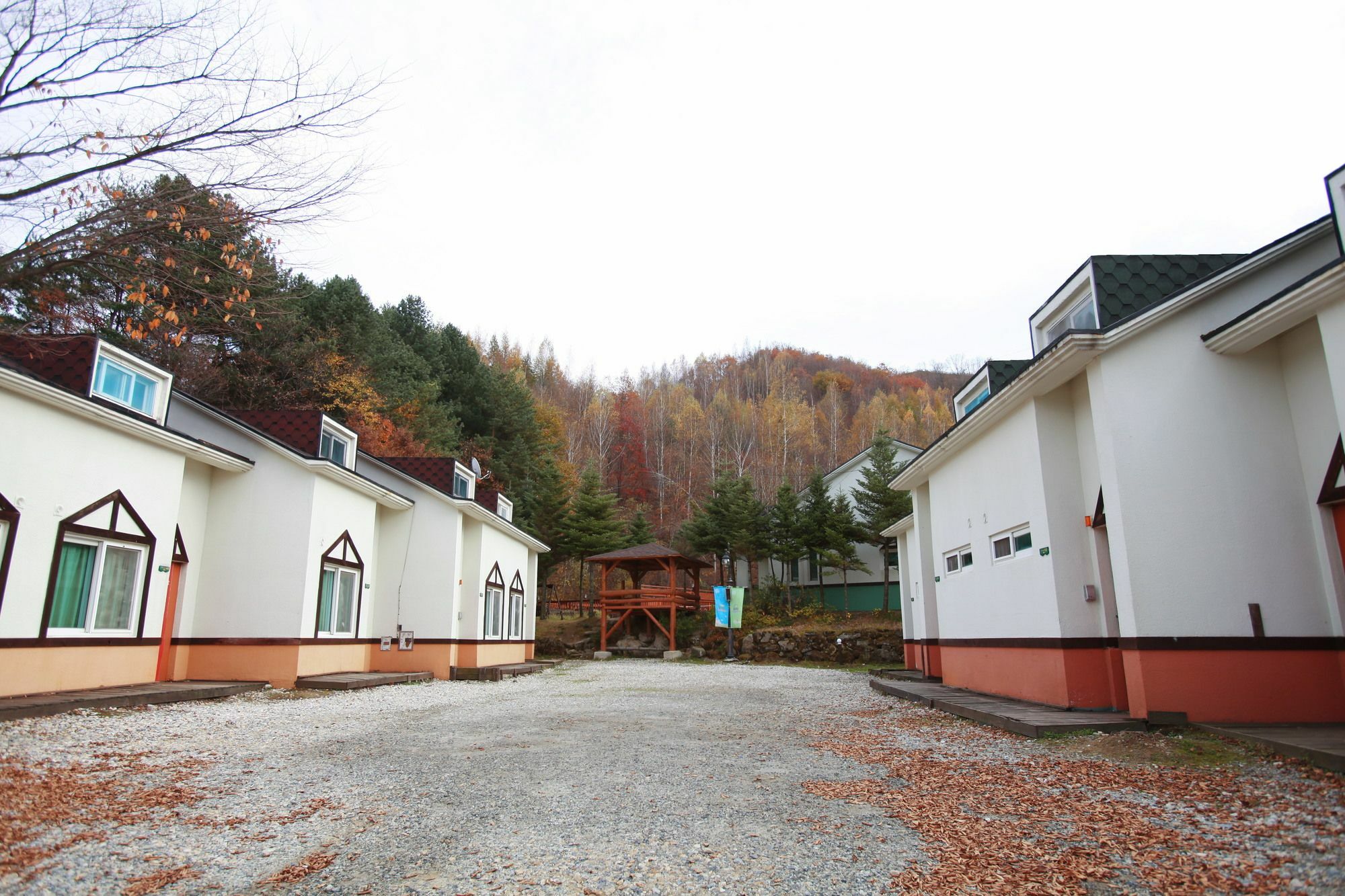 Pyeongchang Iris Pension Exteriér fotografie
