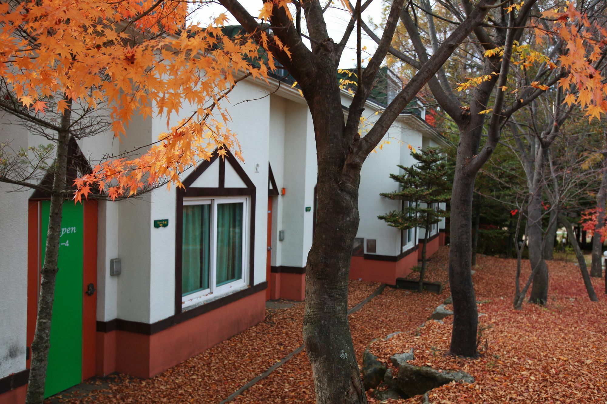 Pyeongchang Iris Pension Exteriér fotografie